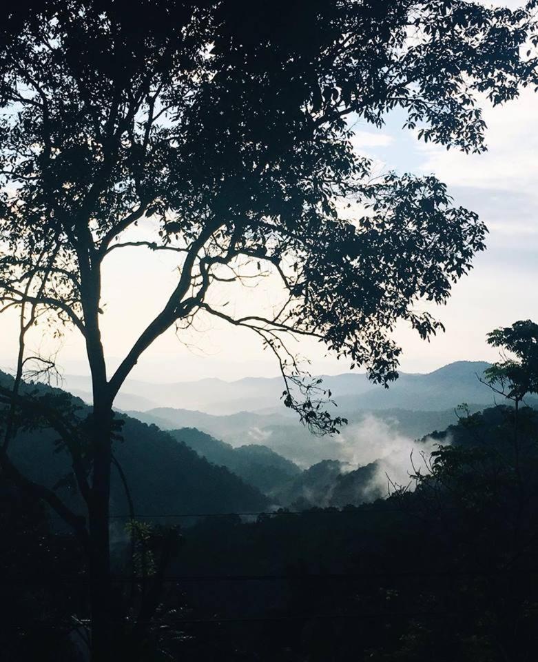 Hotel Lannawild Chiang Mai Zewnętrze zdjęcie