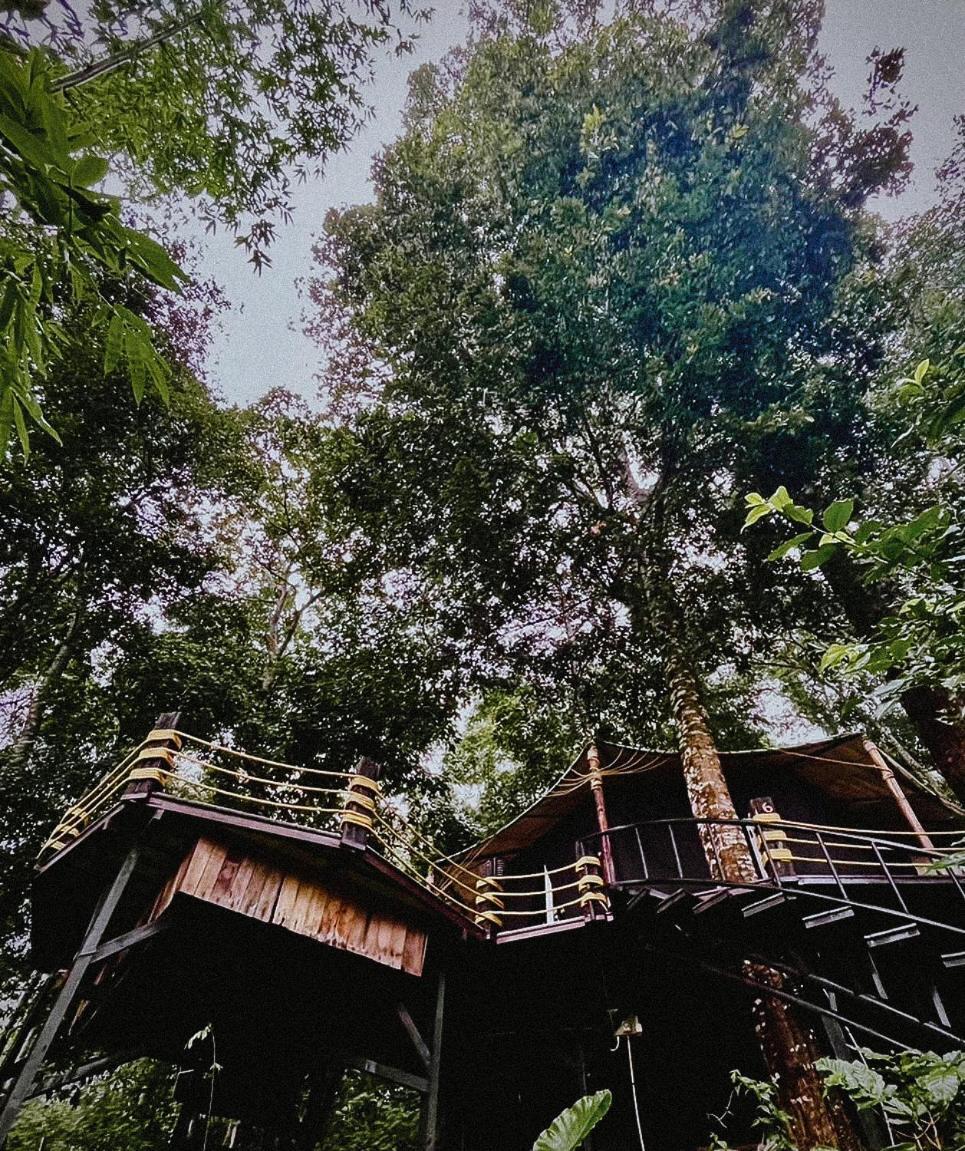 Hotel Lannawild Chiang Mai Pokój zdjęcie