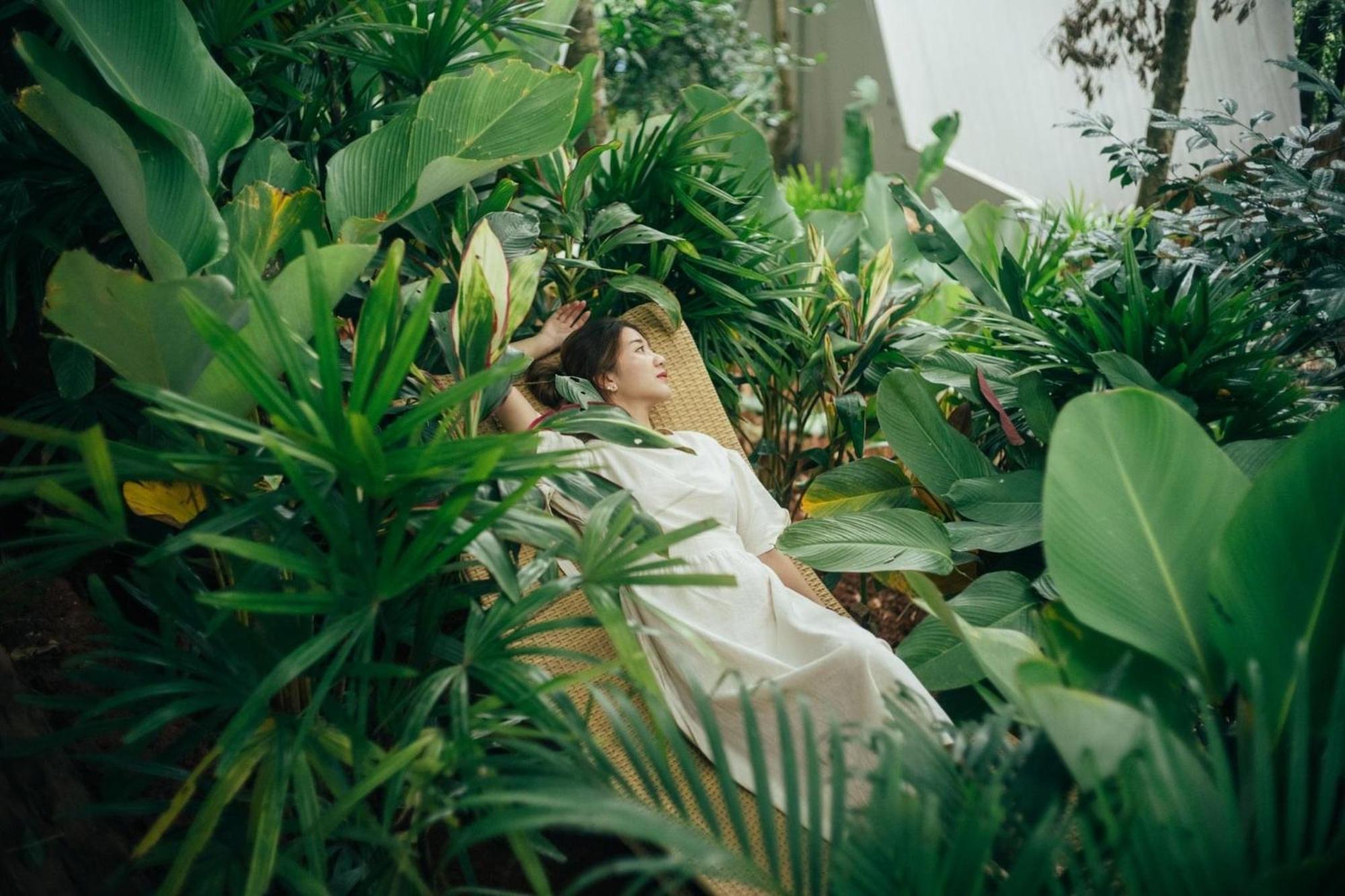 Hotel Lannawild Chiang Mai Pokój zdjęcie